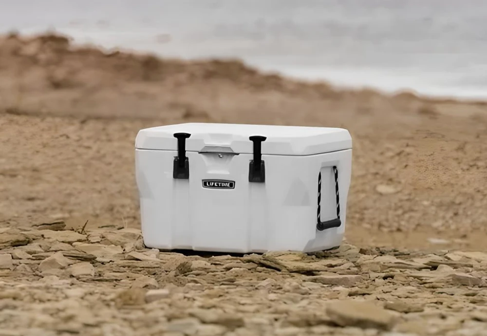 best outdoor cooler