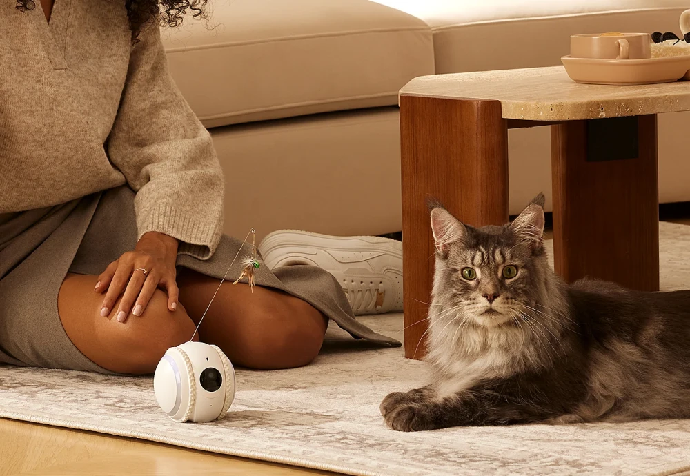 best pet cameras for cats