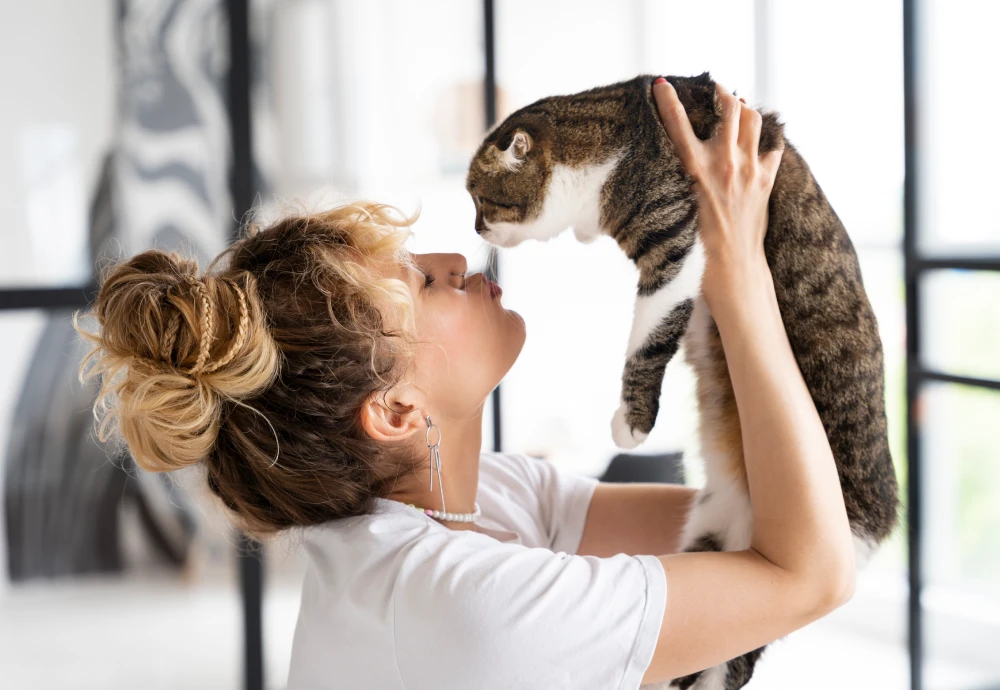 video camera to watch pets